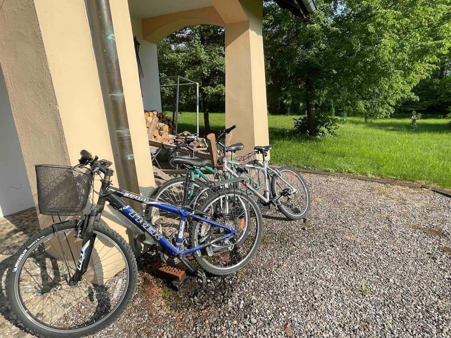 Komfortowy Dom W Lesie Miedzichowo Buitenkant foto
