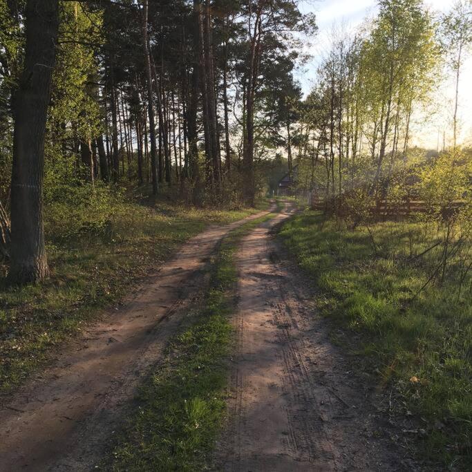 Komfortowy Dom W Lesie Miedzichowo Buitenkant foto