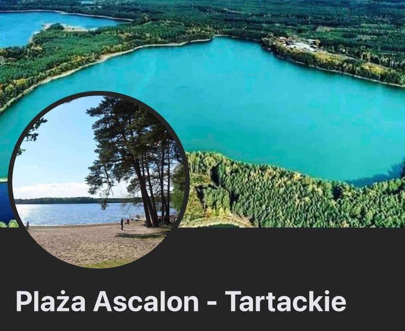 Komfortowy Dom W Lesie Miedzichowo Buitenkant foto